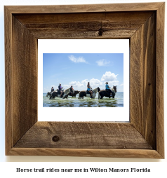 horse trail rides near me in Wilton Manors, Florida